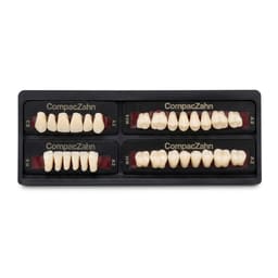 Rubydent CompacZahn Acrylic Denture natural shade Teeth A2- E3-K6-M5 (Set of 28) (2 layered)