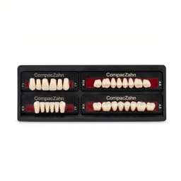 Rubydent CompacZahn Acrylic Denture natural shade Teeth A2- F3-K5-M3 (Set of 28) (2 layered)