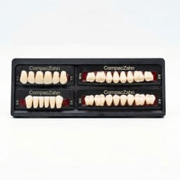 Rubydent CompacZahn Acrylic Denture natural shade Teeth A2- E4-K9-M5 (Set of 28) (2 layered)