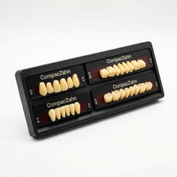 Rubydent CompacZahn Acrylic Denture natural shade Teeth A3- H2-K3-M2 (Set of 28) (2 layered)
