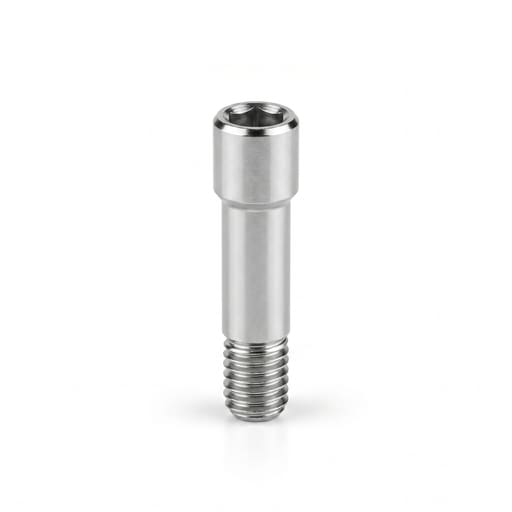 Mediden Dentium NR- Line Compatible Titanium Abutment Screw (S-22) (Pack of 10)