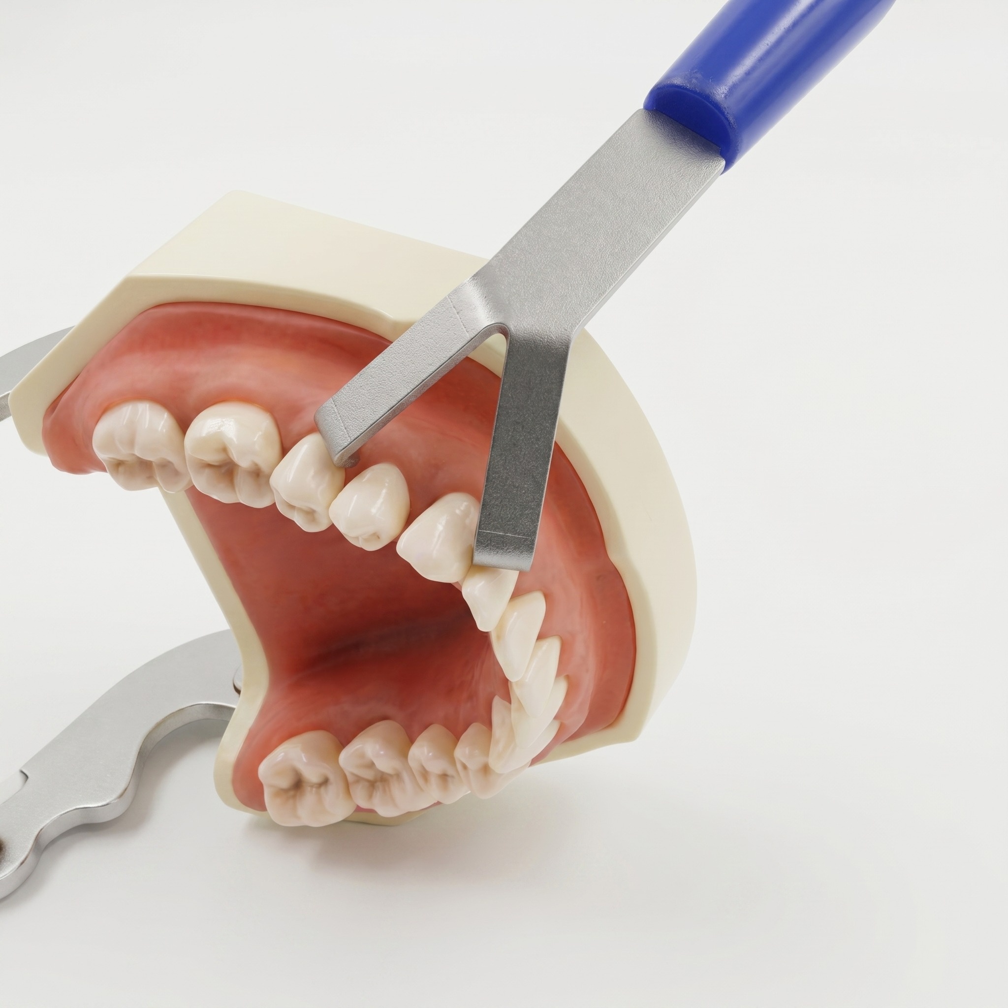 Julldent Zygoma Retractor 1.0 (JULL-DENT 190)
