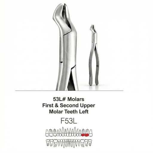 GDC American Forceps Molars First & Second Upper Molar Teeth Left # 53L (F53L)