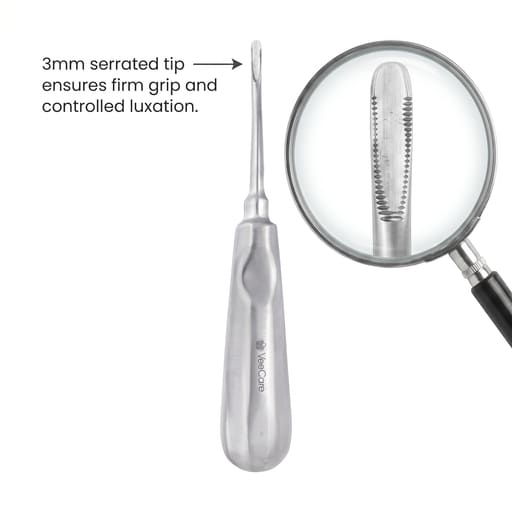 Veecare Straight Serrated Elevator - 3mm