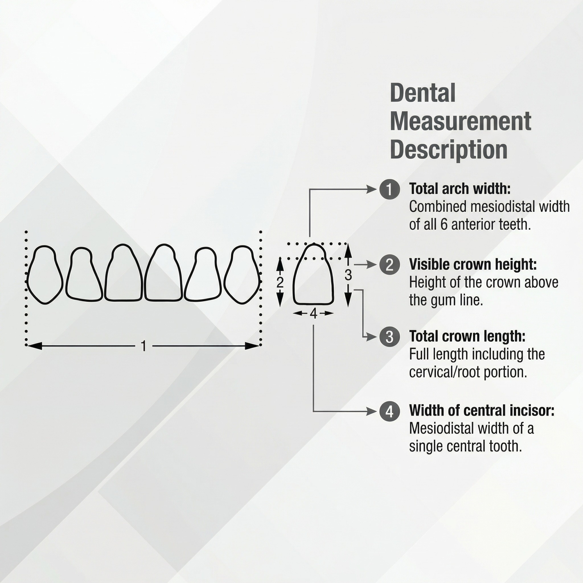 Rubydent CompacZahn Acrylic Denture Teeth A3 (Set of 28)