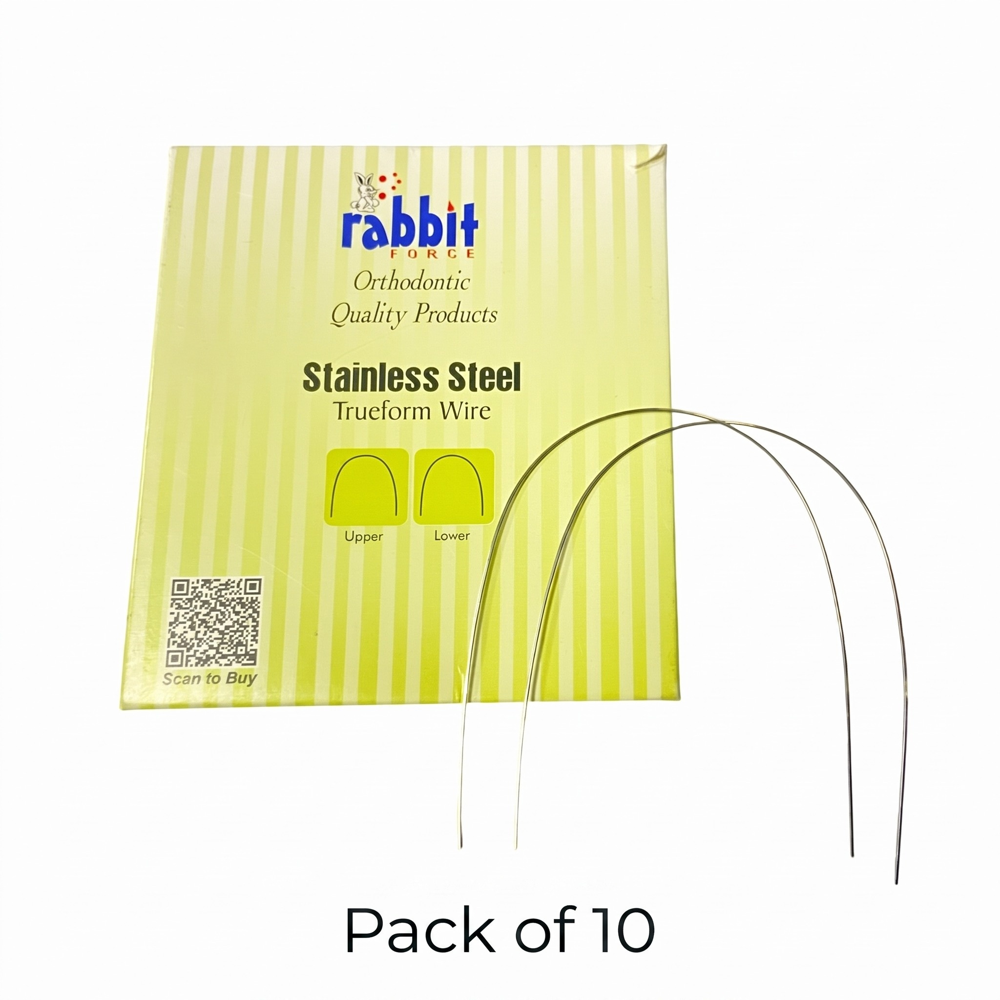Rabbit