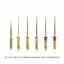 Waldent All-In-One Endo Training Kit - 3