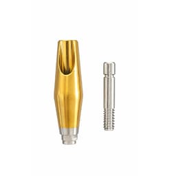Dentaltech 15° Angular Abutments - Dentium Superline / Dio/ Megagen / Dentis/ CoWellMedi Implant Compatible - 3