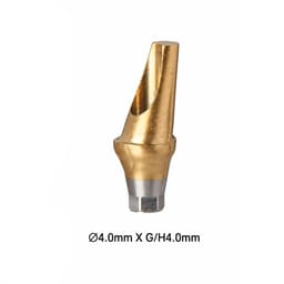 Dentaltech 17° Angular Abutment Mini ?4.0mm X G/H4.0mm Position A - Osstem Mini Implant Compatible