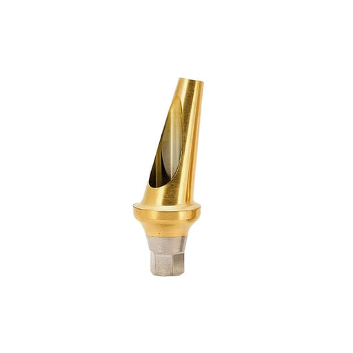 Dentaltech 17° Angular Abutment Regular ?5.0mm X G/H2.0mm Position B - Osstem Implant Compatible