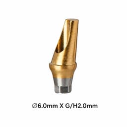 Dentaltech 17° Angular Abutment Regular ?6.0mm X G/H2.0mm Position A - Osstem Implant Compatible