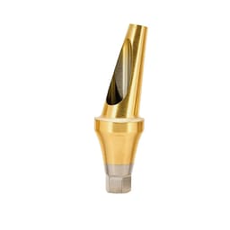 Dentaltech 17° Angular Abutment Regular ?6.0mm X G/H2.0mm Position B - Osstem Implant Compatible