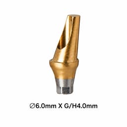 Dentaltech 17° Angular Abutment Regular ?6.0mm X G/H4.0mm Position A - Osstem Implant Compatible