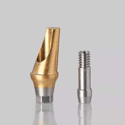 Dentaltech 17° Angular Abutments Position A - Osstem Implant Compatible - 3