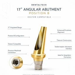 Dentaltech 17° Angular Abutments Position B - Osstem Implant Compatible - 2