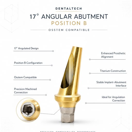 Dentaltech 17° Angular Abutments Position B - Osstem Implant Compatible