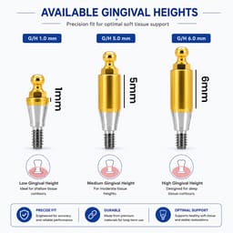 Dentaltech Ball Abutment Regular - Osstem | Dentium | DIO | Cowellmedi | Neobiotech | Dentis Implant Compatible - 3
