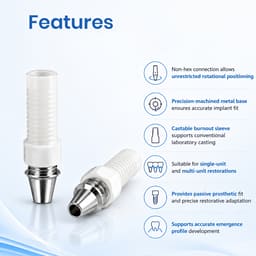 Dentaltech Dentium Superline Compatible Non-Hex CCM Castable Abutment - 5