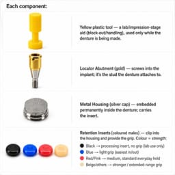 Dentaltech Locator Abutment Regular - Osstem Implant Compatible - Full Set - 3