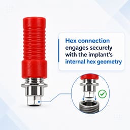 Dentaltech Megagen Anyridge Compatible Hex CCM Castable Abutment - 4