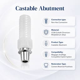 Dentaltech Megagen Anyridge Compatible Non-Hex CCM Castable Abutment - 5