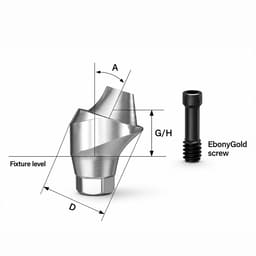 Dentaltech Multi Unit 17° Angular Abutment ?4.6mm X G/H4.0mm - Straumann NC Implant Compatible - 2