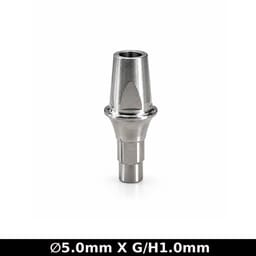 Dentaltech Straight Abutment ?5.0mm X G/H1.0mm - Straumann RC Implant Compatible