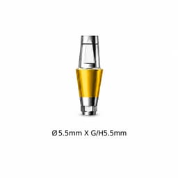 Dentaltech Straight Abutment ?5.5mm X G/H5.5mm - Dentium Superline / Dio/ Megagen / Dentis/ CoWellMedi Implant Compatible