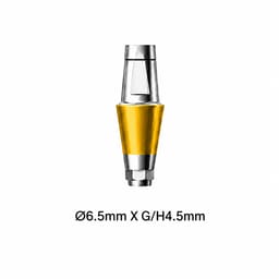 Dentaltech Straight Abutment ?6.5mm X G/H4.5mm - Dentium Superline / Dio/ Megagen / Dentis/ CoWellMedi Implant Compatible