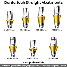 Dentaltech Straight Abutments - Dentium Superline / Dio/ Megagen / Dentis/ CoWellMedi Implant Compatible - 2