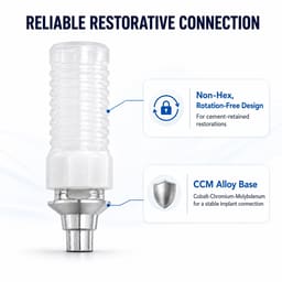 Dentaltech Straumann BLX Compatible Non-Hex CCM Castable Abutment - 2