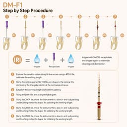 DentsMind DM-F1 NiTi Gold Rotary Files 31mm - Assorted (Pack of 6) - 5