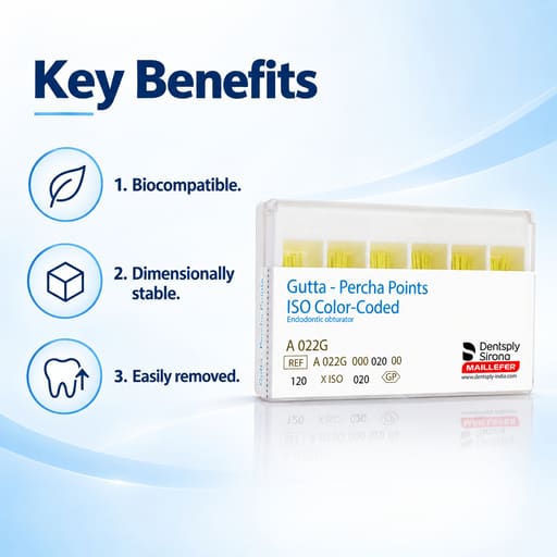 Dentsply Gutta Percha Points 2% Taper 