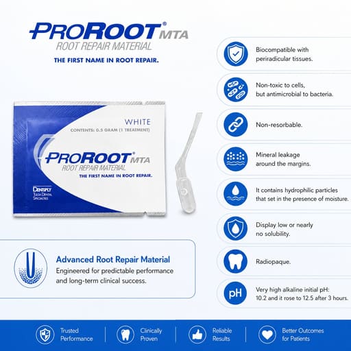 Dentsply Proroot MTA 0.5 Gm