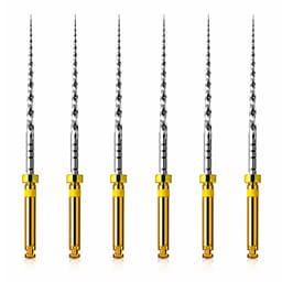 Dentsply Protaper Finishing File 1 (F1) 25Mm - Rotary Yellow
