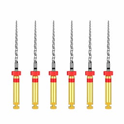 Dentsply Protaper Finishing File 2 (F2) 21Mm - Rotary Red