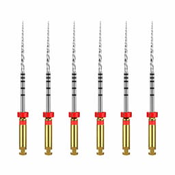 Dentsply Protaper Finishing File 2 (F2) 31Mm - Rotary Red