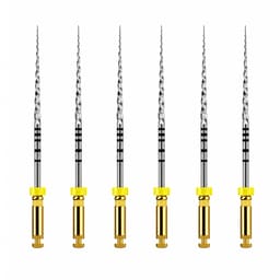Dentsply Protaper Finishing File 5 (F5) 31Mm - Rotary