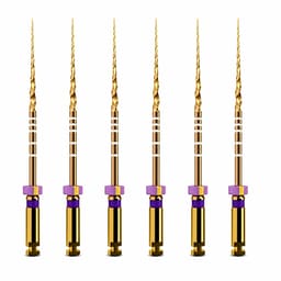 Dentsply Protaper Gold Rotary Files 31mm S1 (Pack of 6)