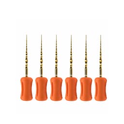 Dentsply Protaper Hand File 19mm Sx