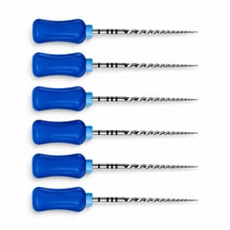 Dentsply Protaper Hand File 21mm F3