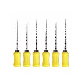 Dentsply Protaper Hand File 25mm F1