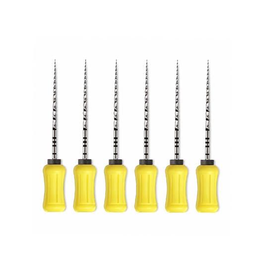 Dentsply Protaper Hand File 25mm F1