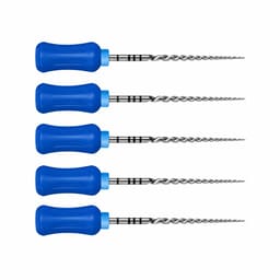 Dentsply Protaper Hand File 25mm F3
