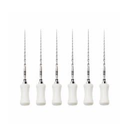 Dentsply Protaper Hand File 25mm S2