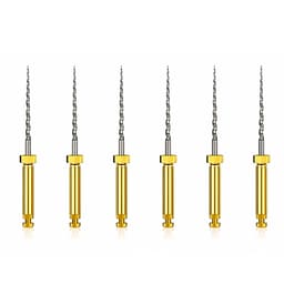 Dentsply Protaper Shaping File 1 (S1) 21Mm - Rotary