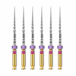 Dentsply Protaper Shaping File 1 (S1) 31Mm - Rotary Purple