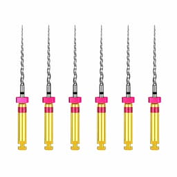 Dentsply Protaper Shaping File 2 (S2) 21Mm - Rotary