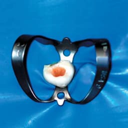 Waldent Rubber Dam Clamps Kit - Set of 13 (K16/5) - 5
