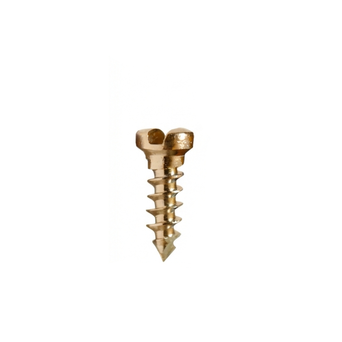 SK Surgicals SS Single Slot Screws - 1.5mm x 4mm (1504S)